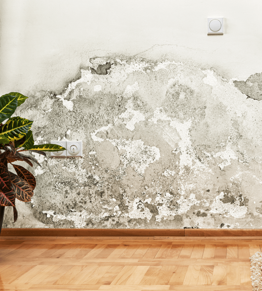 traitements-contre-condensation-traitement-humidite traitements contre condensation traitement humidite