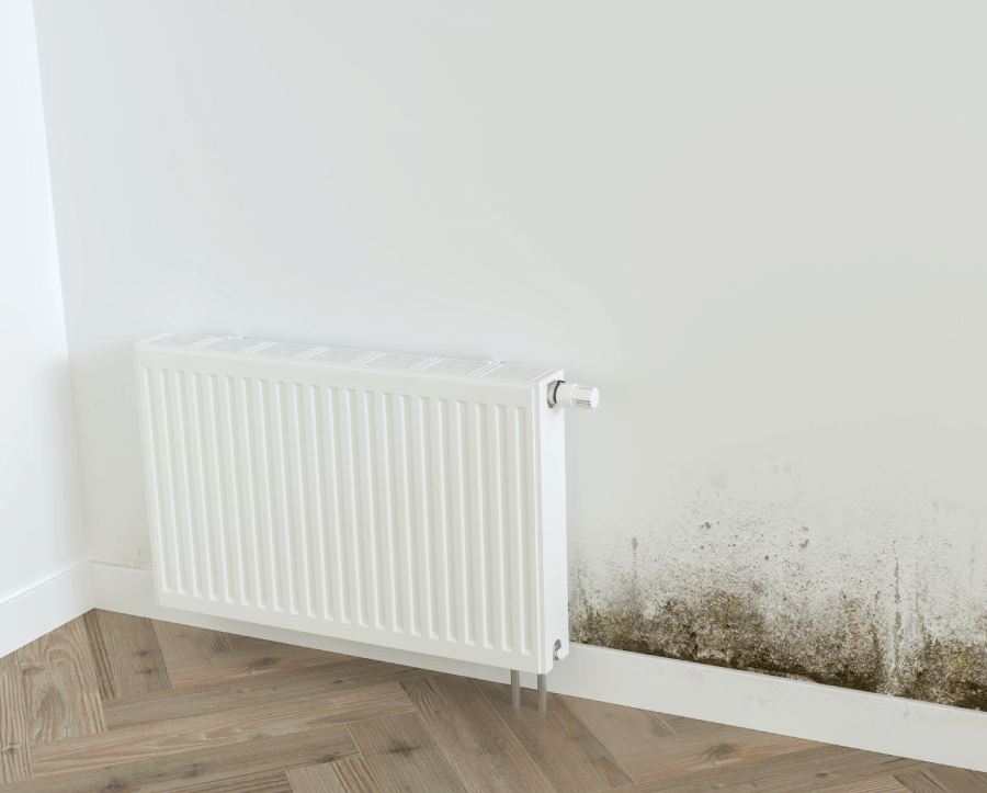 via-interieur-traitements-contre-humidite-traitement-humidite via interieur traitements contre humidite traitement humidite